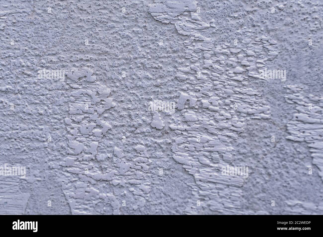 texture old grey stucco on the wall Stock Photo