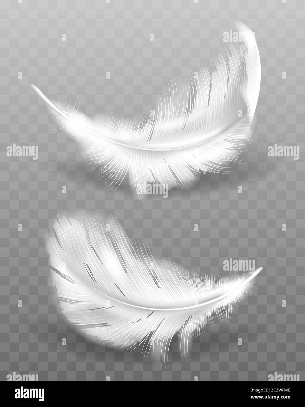 White fluffy feather with shadow vector realistic set isolated on transparent background. Feathers from wings of birds or angel, symbol of softness an Stock Vector