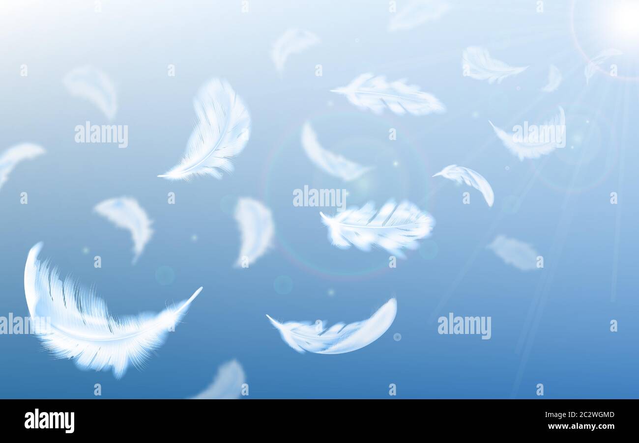 White feathers fly in air on blue sky background with sun beams and lens flare, realistic vector illustration. Fluffy soft feathers float in air, ligh Stock Vector