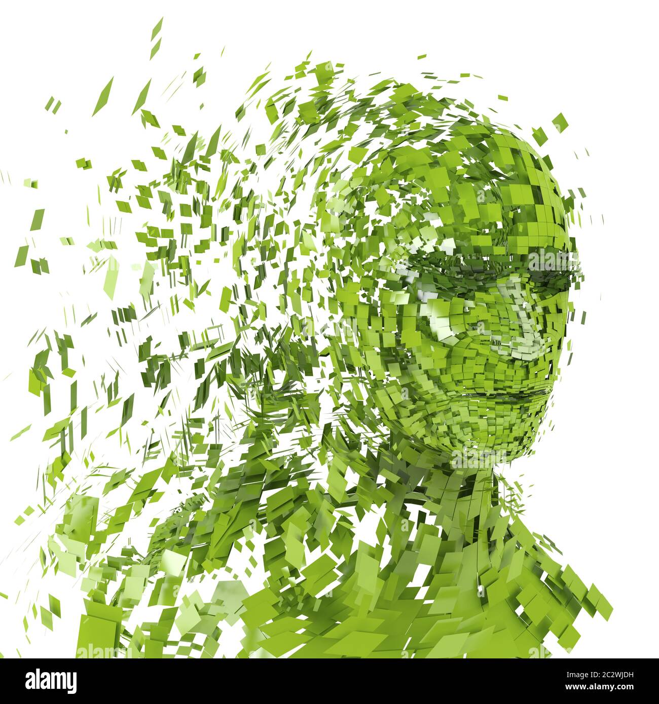 Human head silhouette with a lot of green pieces Stock Photo - Alamy