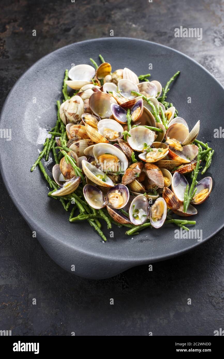 Steamed Japanese carpet shell with blanched green salicornia as top view on a modern design plate with copy space Stock Photo