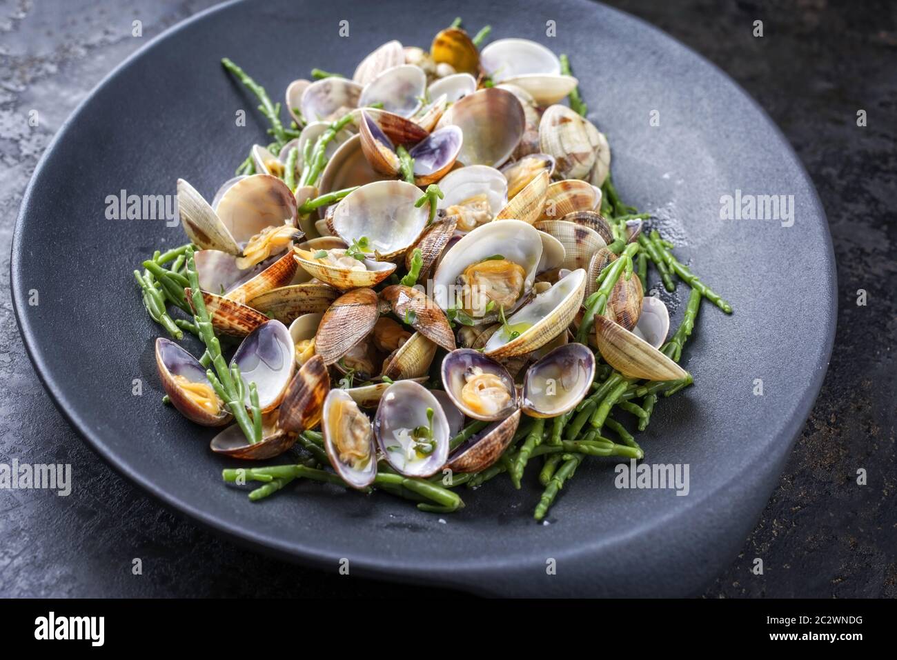 Steamed Japanese carpet shell with blanched green salicornia as closeup on a modern design plate Stock Photo