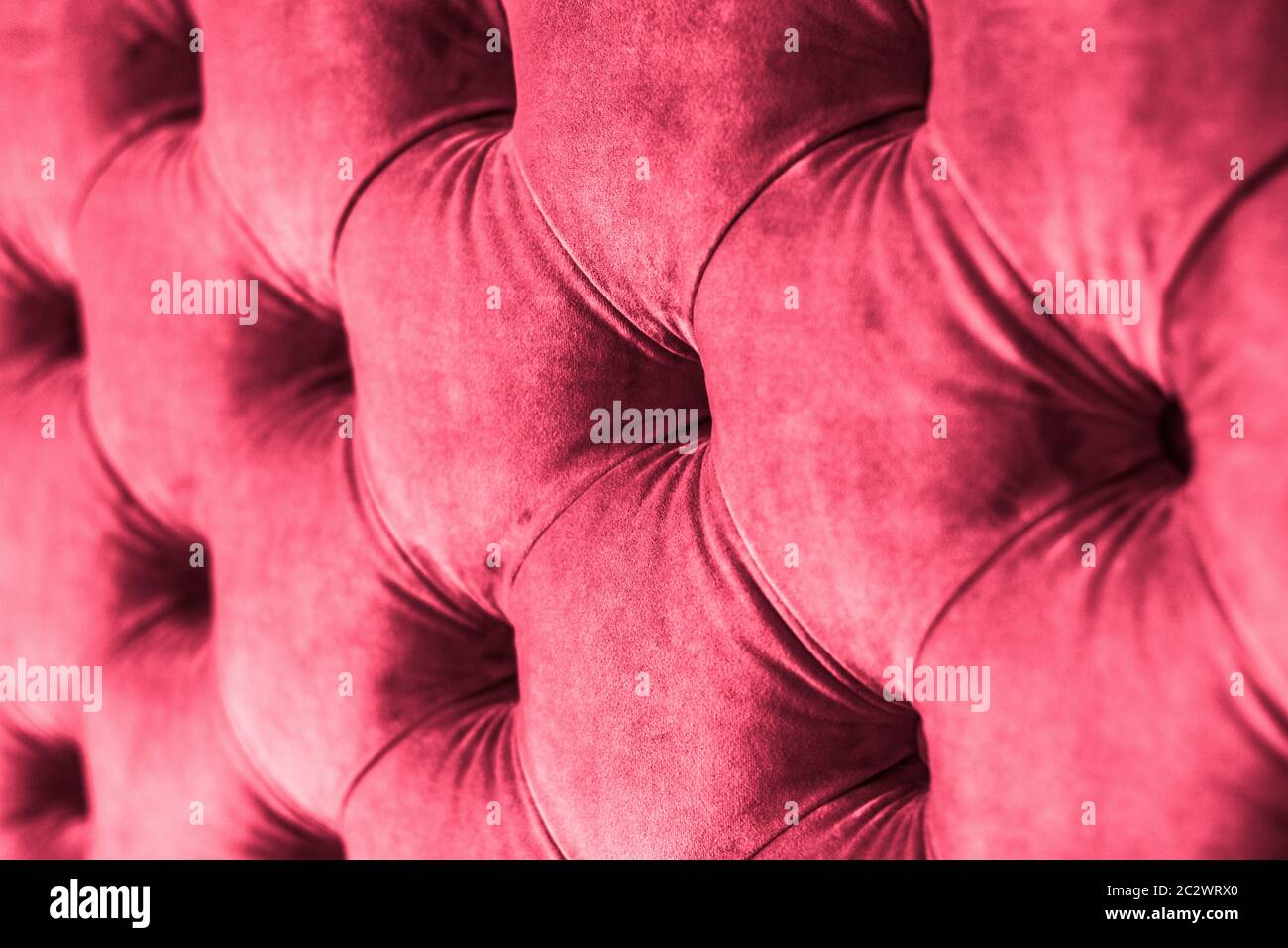 Pink luxury velour quilted sofa upholstery with buttons, elegant home decor texture and background Stock Photo