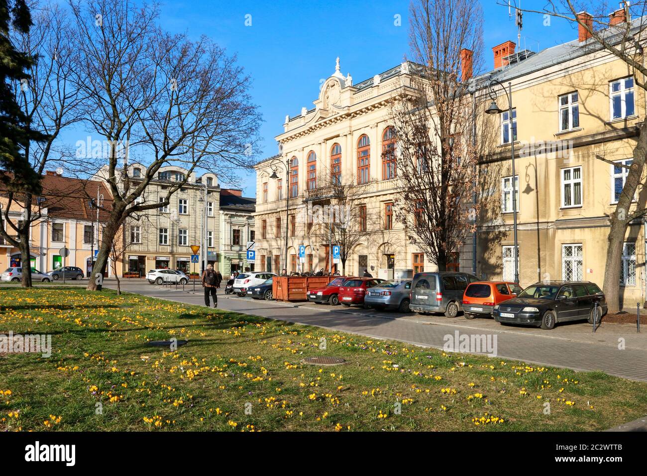 Beautiful spring flower bed in Podgorze district of Krakow, Poland. Stock Photo