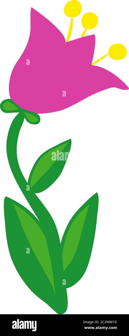 vector, isolated flower on white background Stock Vector Image & Art ...