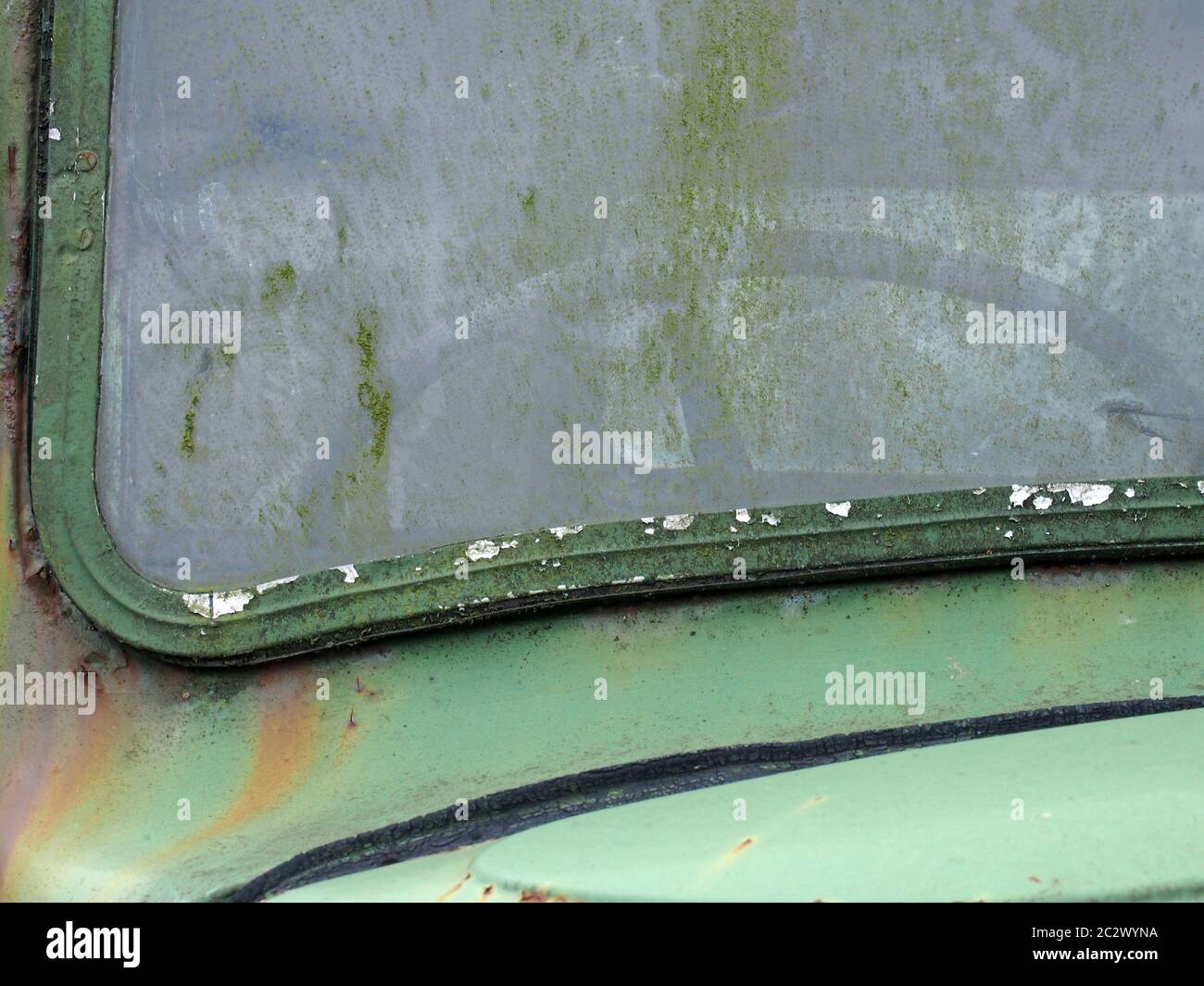 close up of the windscreen of an old abandoned pick up truck with the steering wheel visible through stained moss covered glass Stock Photo