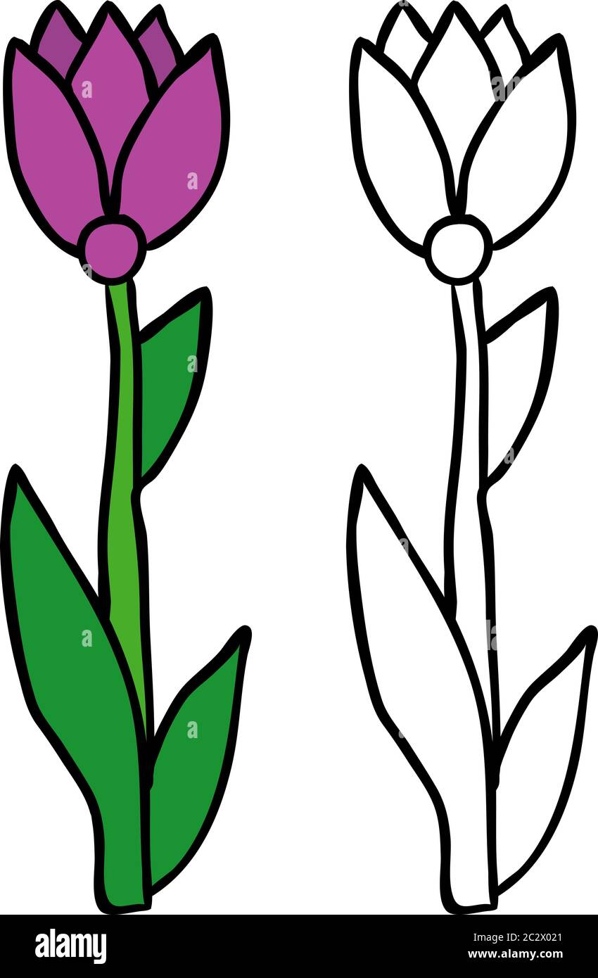 isolated flower, coloring book Stock Vector Image & Art - Alamy
