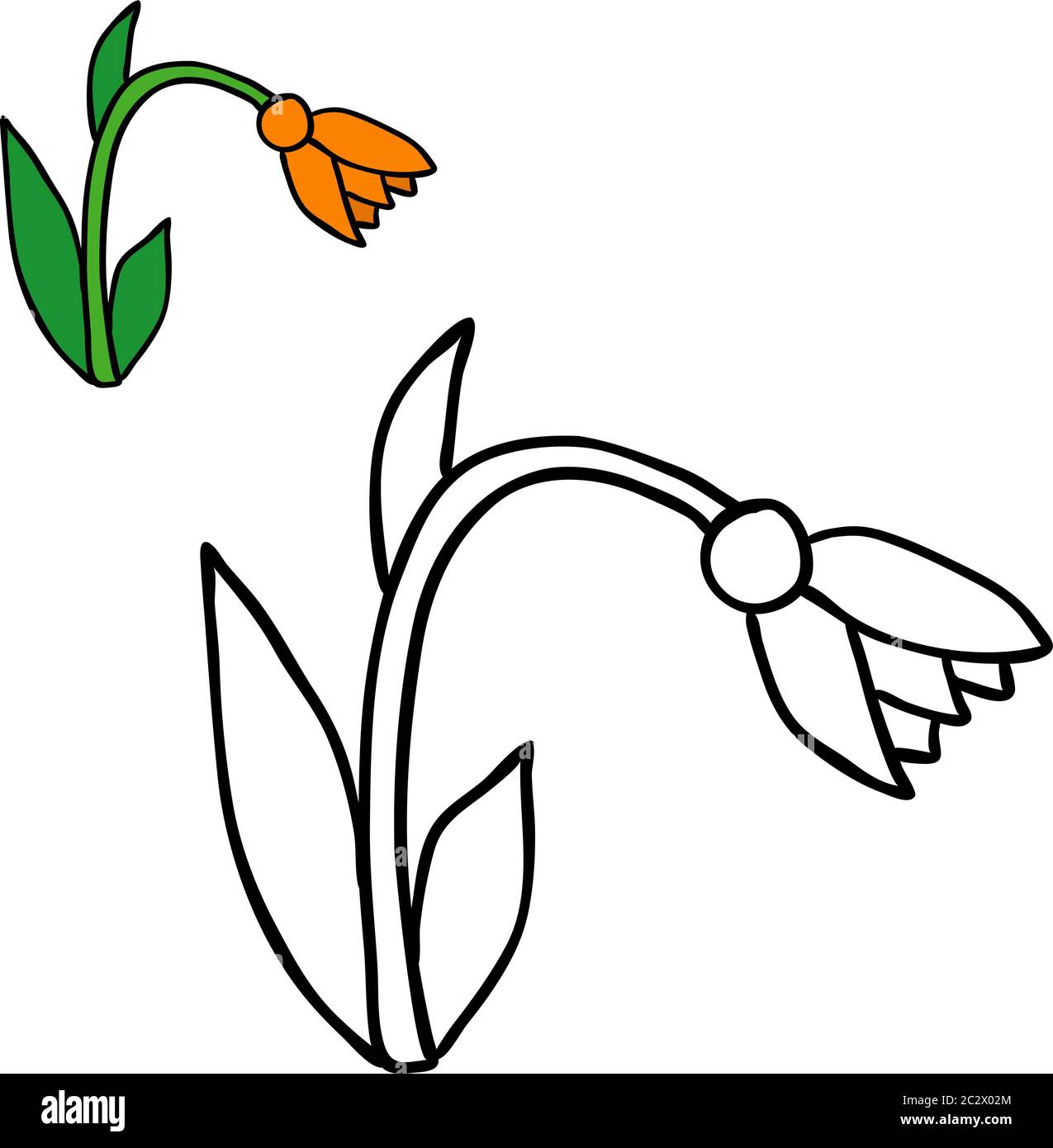 vector, isolated flower, coloring book Stock Vector Image & Art - Alamy