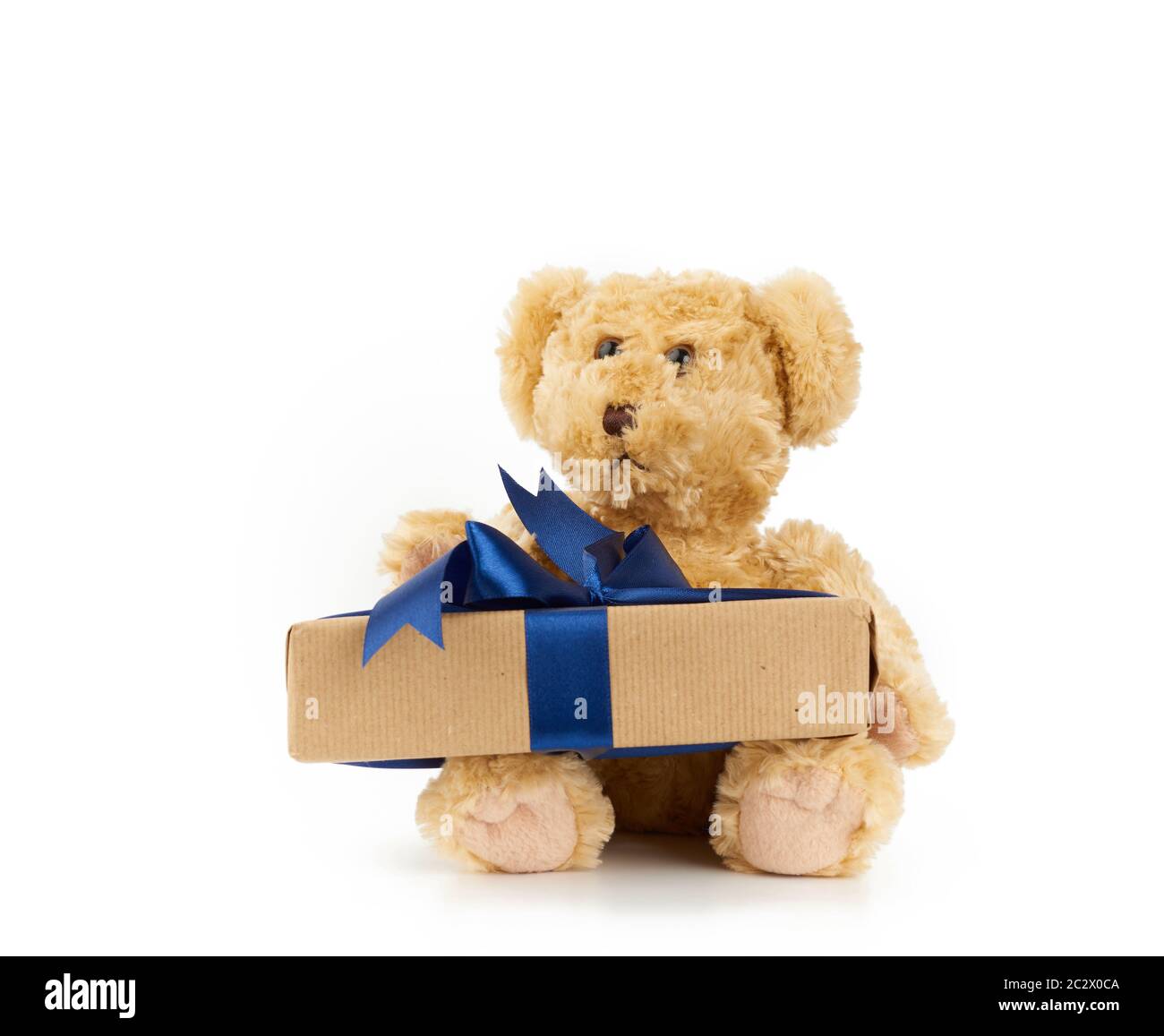 cute little brown teddy bear holds a brown box with a blue ribbon on a ...