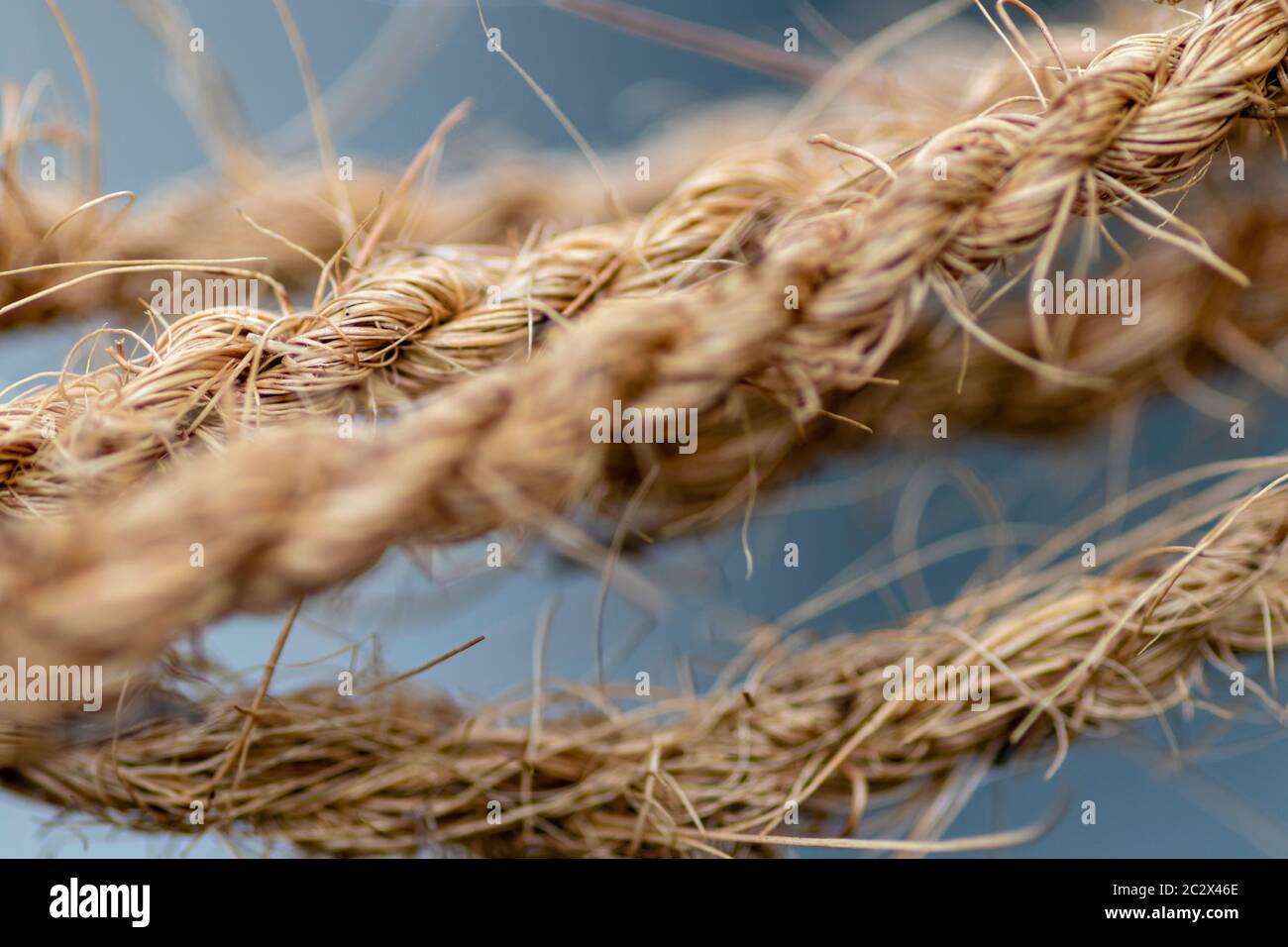 Coir Twine close up macro out of focus background photograph Stock