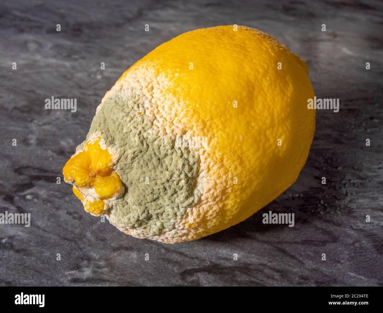 Get Moldy High Resolution Stock Photography and Images Alamy