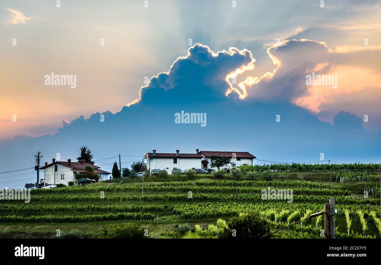 View of famous wine region Goriska Brda hills in Slovenia. Panoramic photo of villages of Gorica Hills with vineyards and grapevine covering hills. Ag Stock Photo
