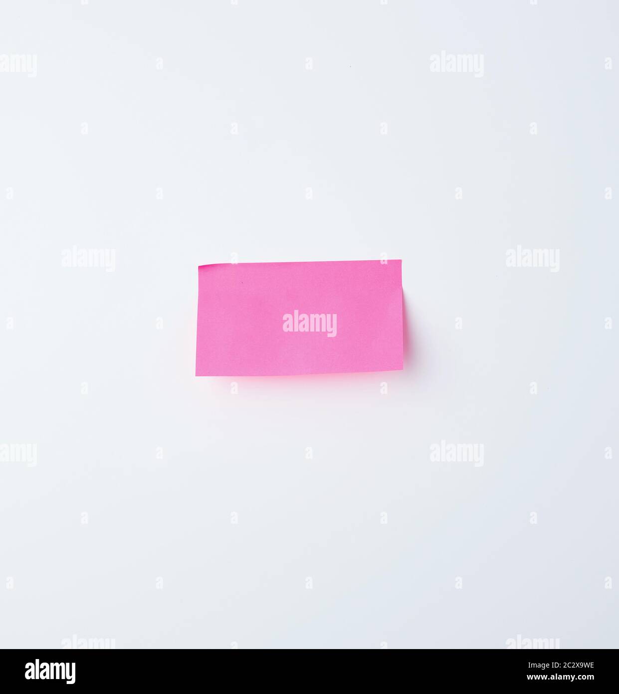 pink rectangular sticker on a white background, place for text Stock Photo