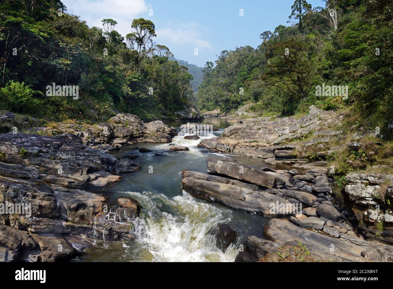 Ranomafana National Park is in southeastern Madagascar. This tropical rainforest is home to a number of rare and endemic species of flora and fauna. Stock Photo