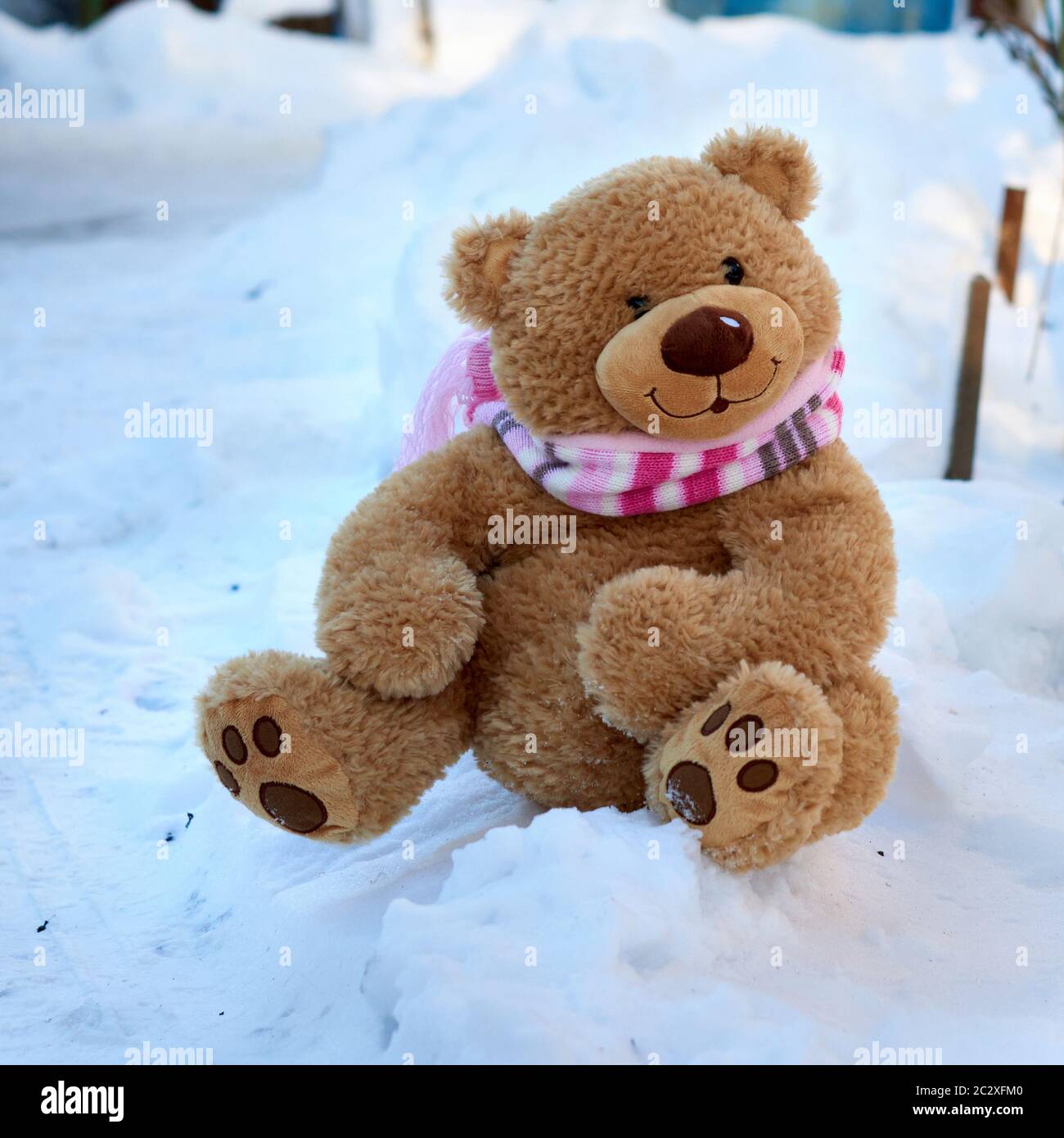 big cute curly teddy bear in a scarf sitting on white snow, loneliness ...