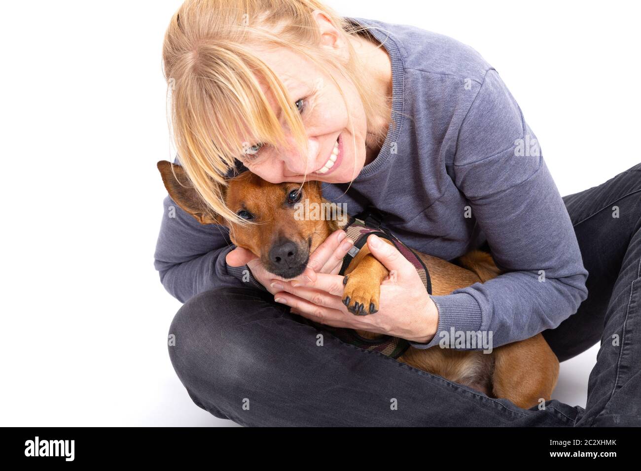 Blonde german shepherd hi-res stock photography and images - Alamy