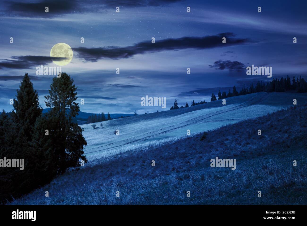 Moon Light Countryside grassy meadow in mountains at night. beautiful countryside landscape in ...