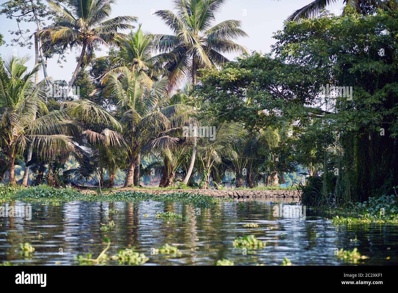 Alleppey Backwaters Kerala. Boat trip Stock Photo - Alamy