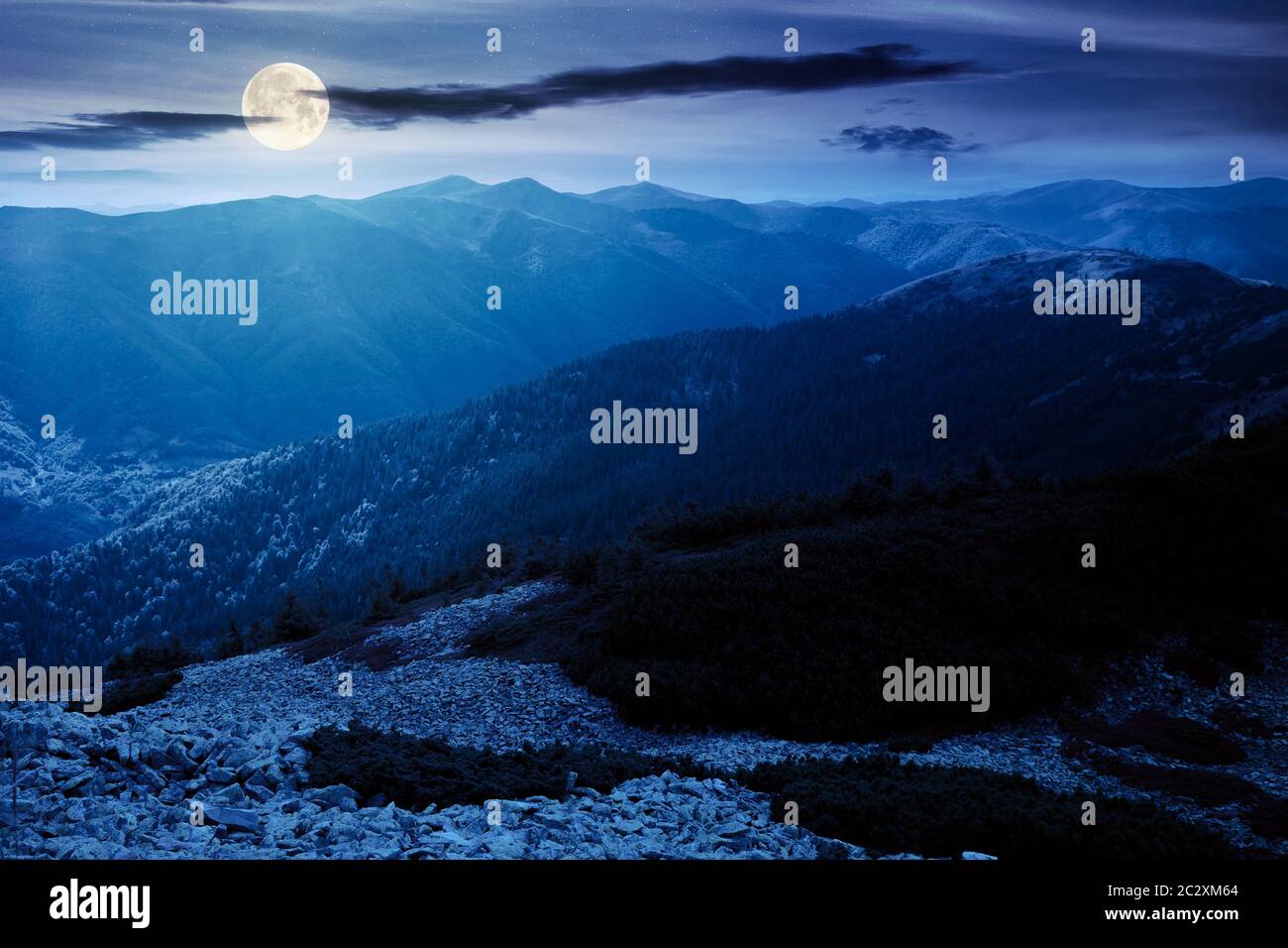mountain landscape with stones at night. juniper tree among the rocks ...