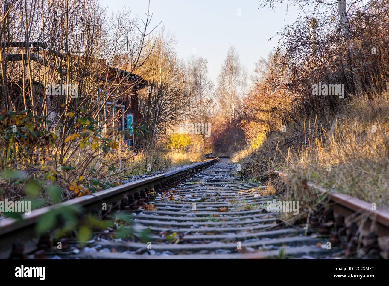 overgrown railway tracks Track systems Stock Photo