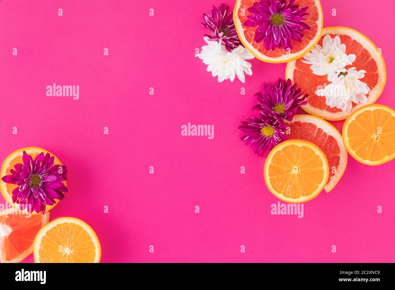 Citrus fruits with purple flowers in a fucsia background Stock Photo