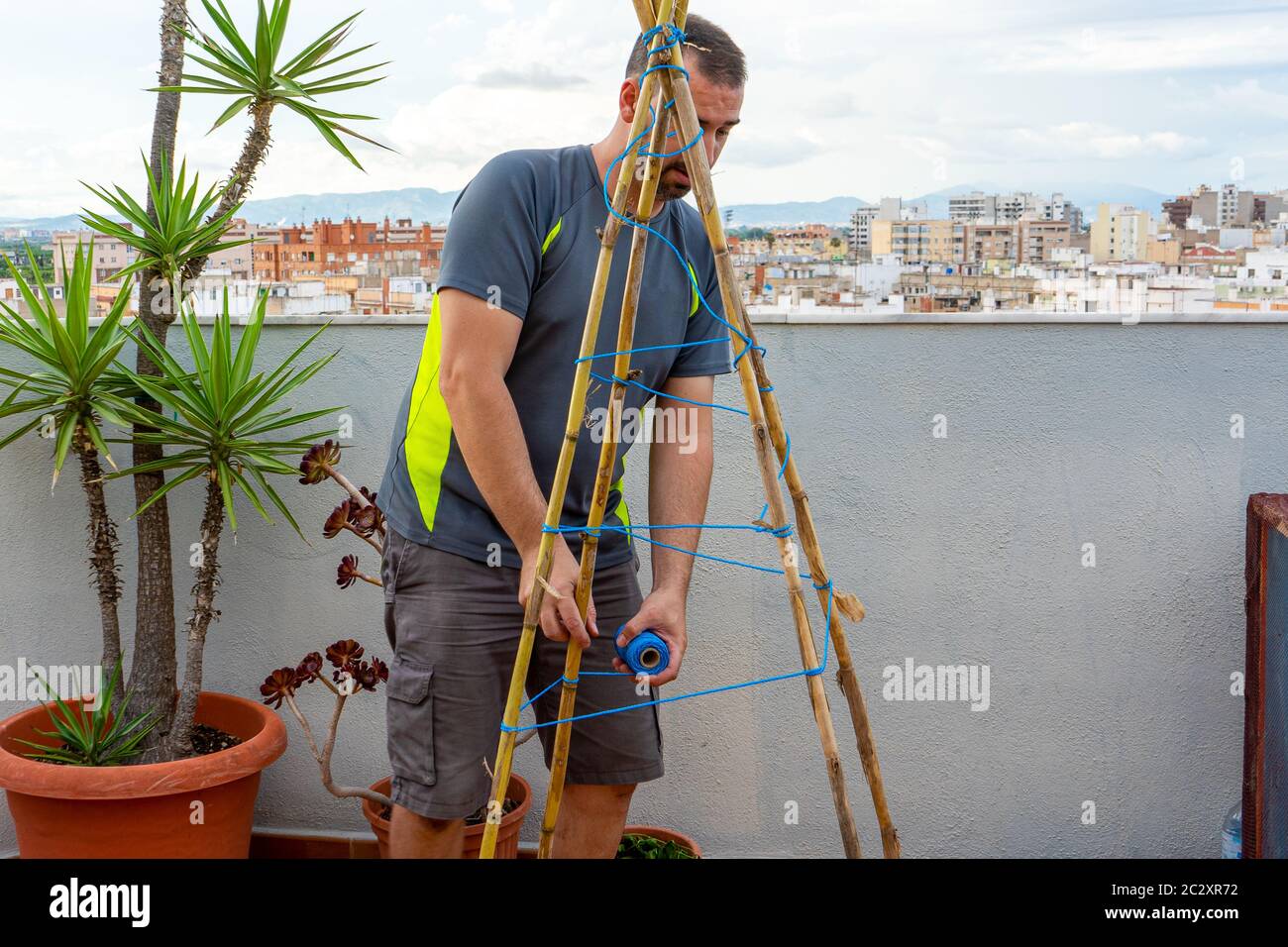 Bearded man fixing his urban garden with reeds and ropes to direct the ...