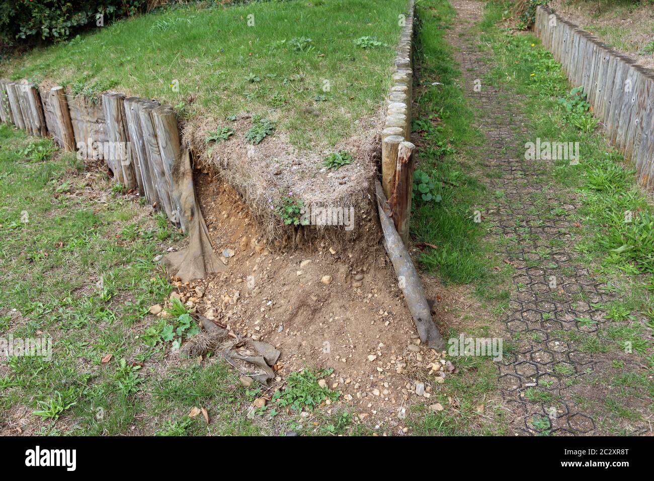 Rotten And Damaged Wooden Round Log Retaining Wall In A Park With The Erosion Control Matting Exposed And Soil Falling Into A Path Stock Photo Alamy