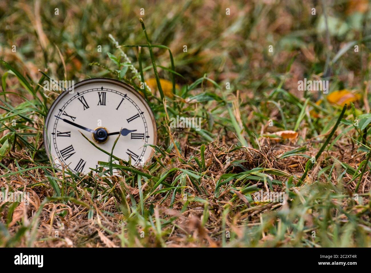 Photo Picture of the Classic Clock Time Concept Stock Photo - Alamy
