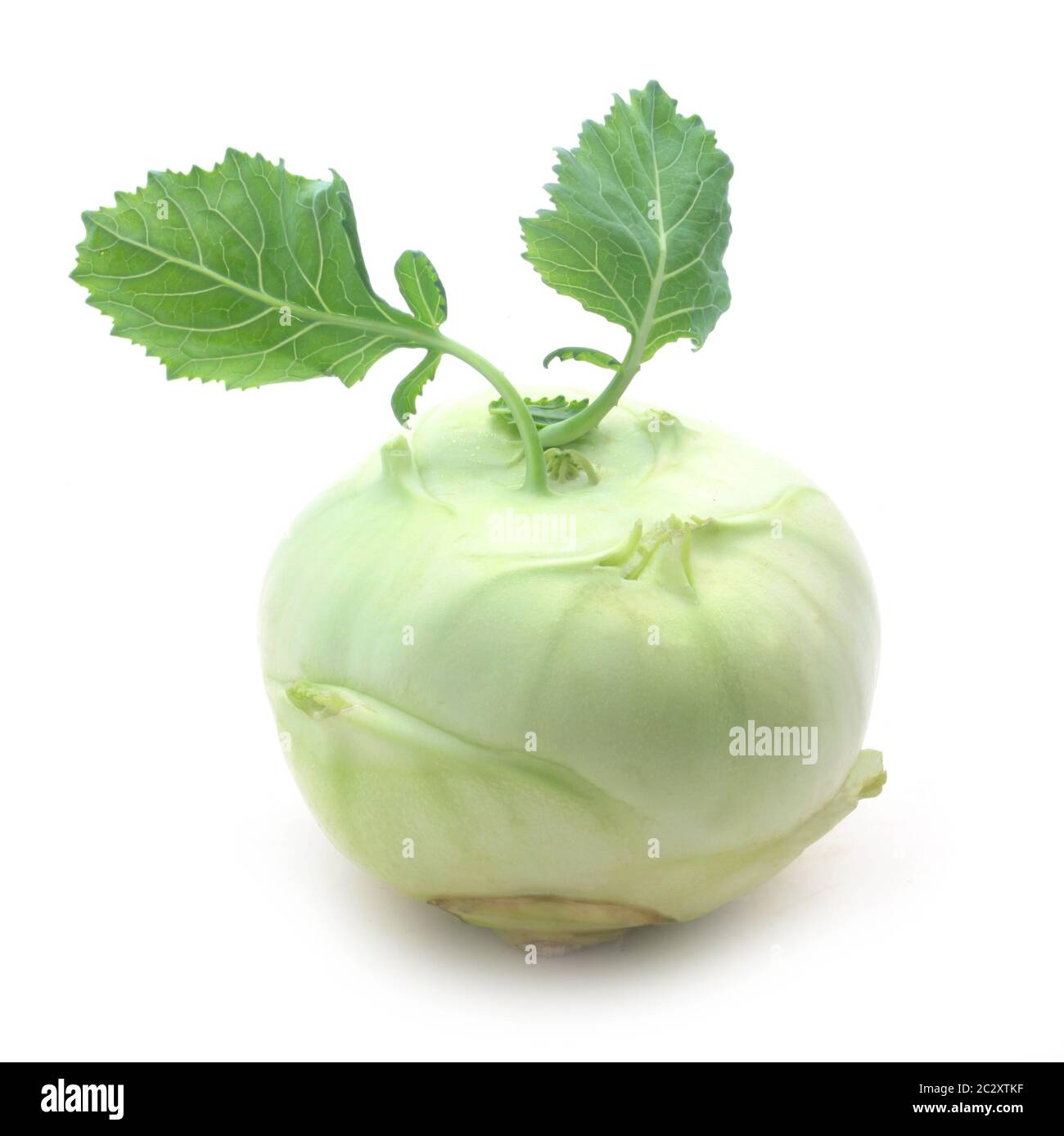 Kohlrabi cabbage hi-res stock photography and images - Alamy