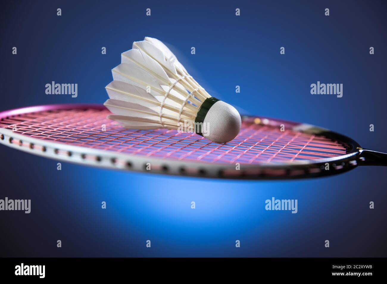 badminton racket and shuttlecock closeup Stock Photo Alamy
