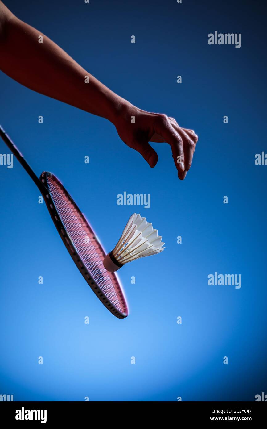 badminton racket and shuttlecock closeup Stock Photo Alamy