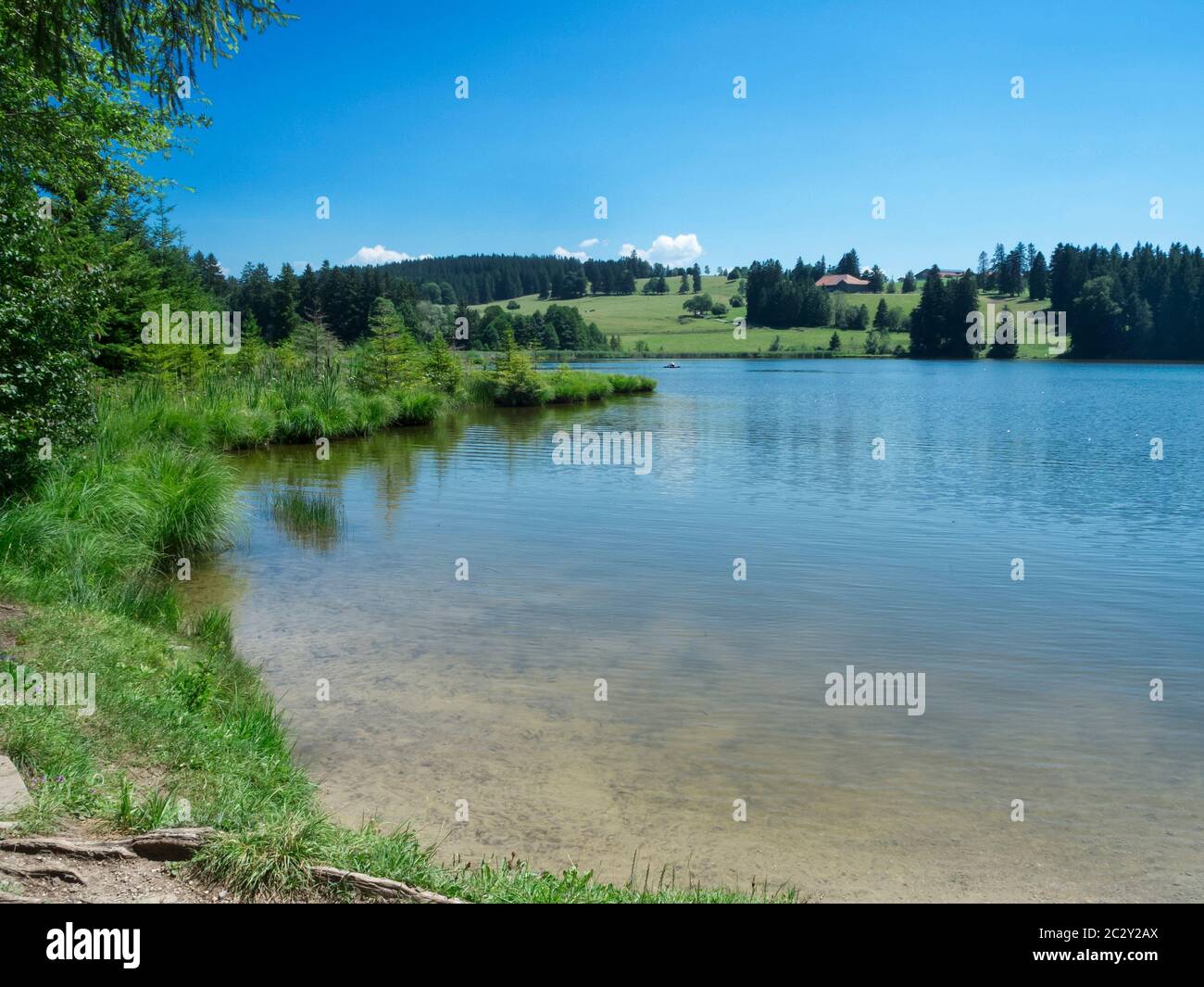 View over the Pond Koegel near the town of Pfronten in the south of Bavaria at blue sky with light beautiful weather clouds in summer 2019. Stock Photo