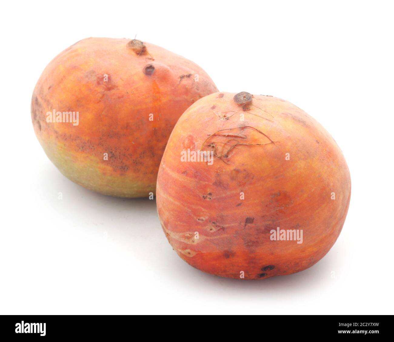 White Beets Stock Photo