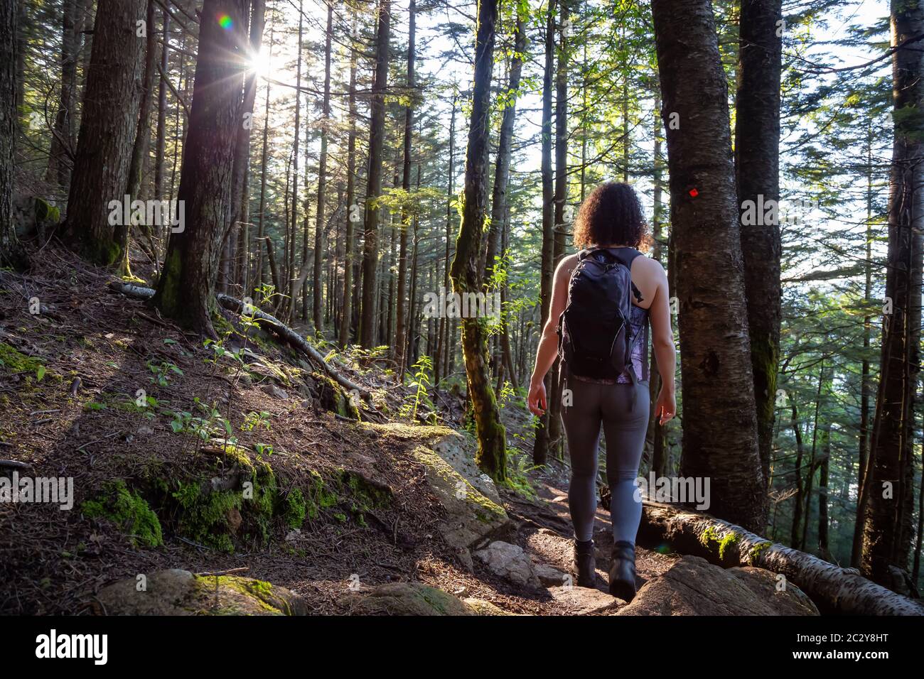 Adventurous Girl Hiking in a Green and Vibrant Rain Forest Stock Photo ...