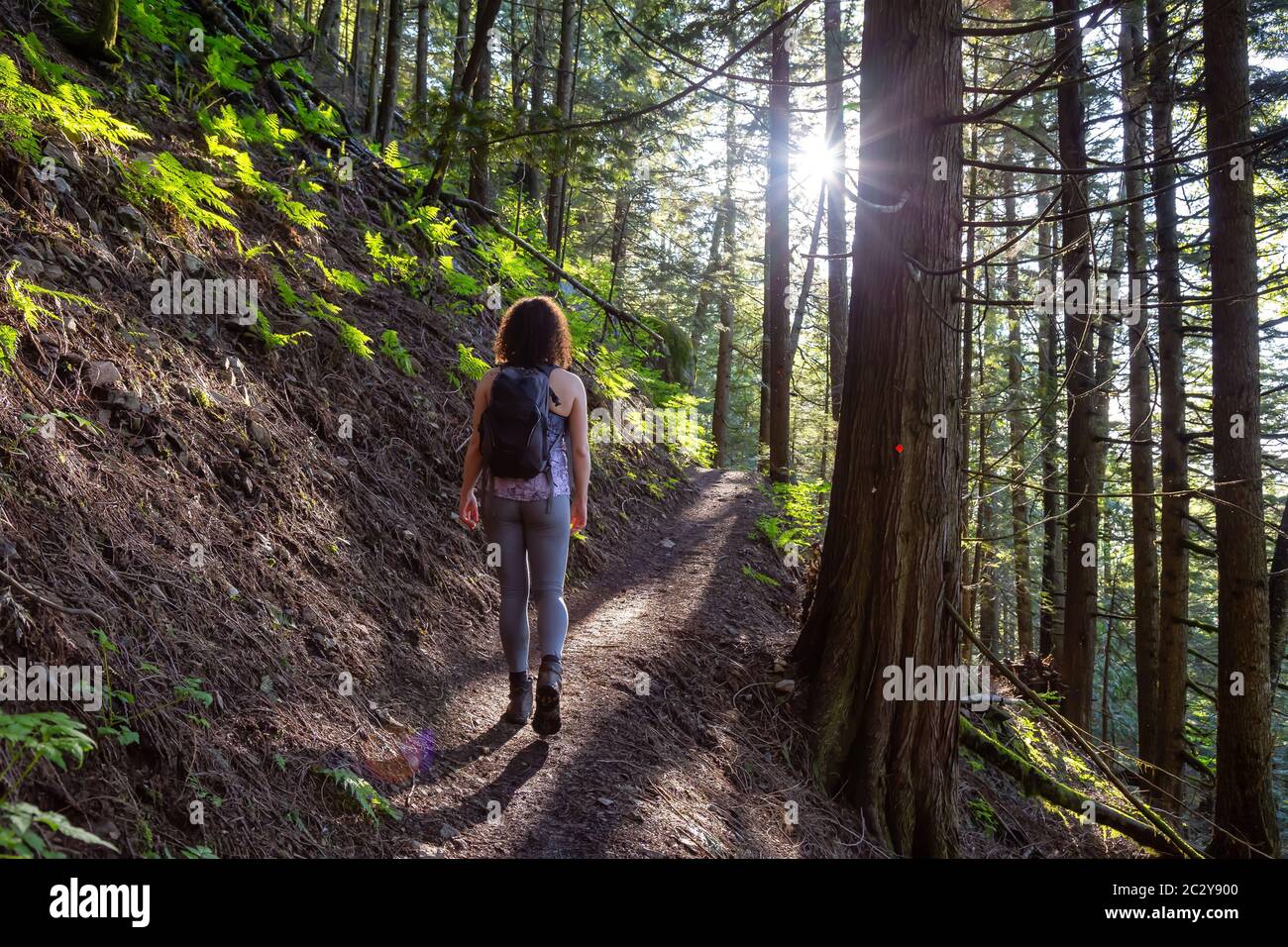 Adventurous Girl Hiking in a Green and Vibrant Rain Forest Stock Photo ...
