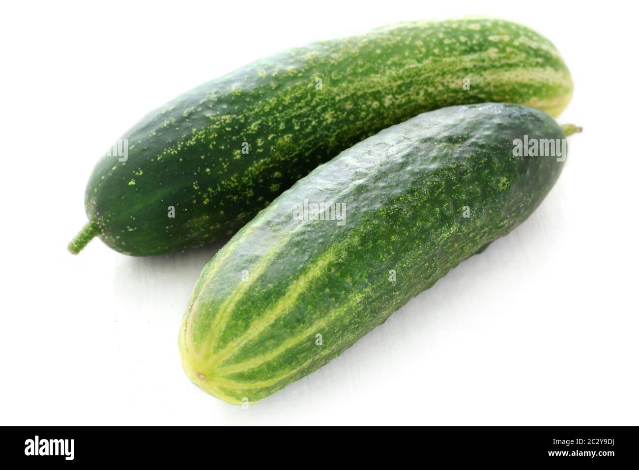 Ridge Cucumbers Stock Photo