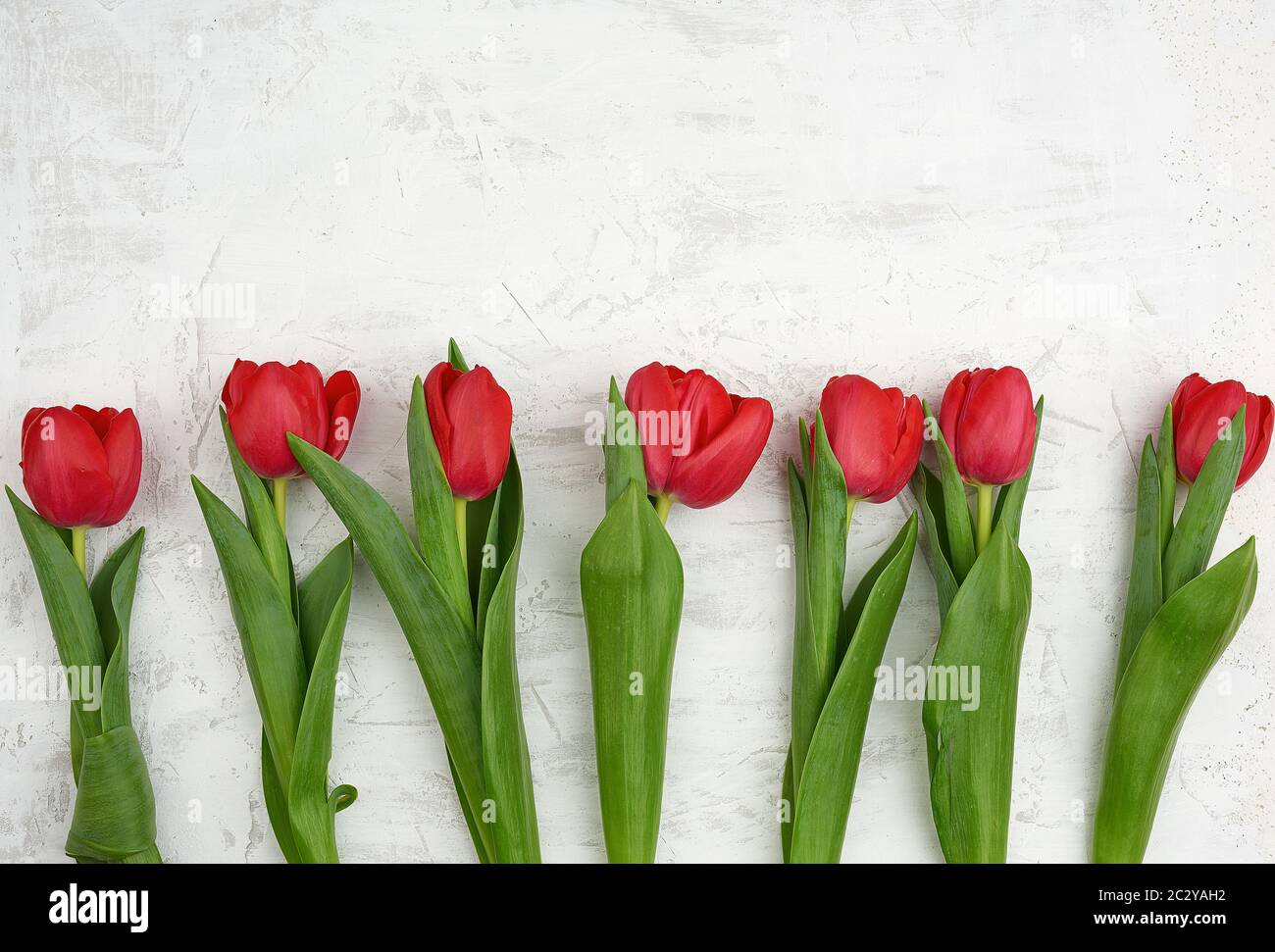 bouquet of red blooming tulips with green stems and leaves on a white ...