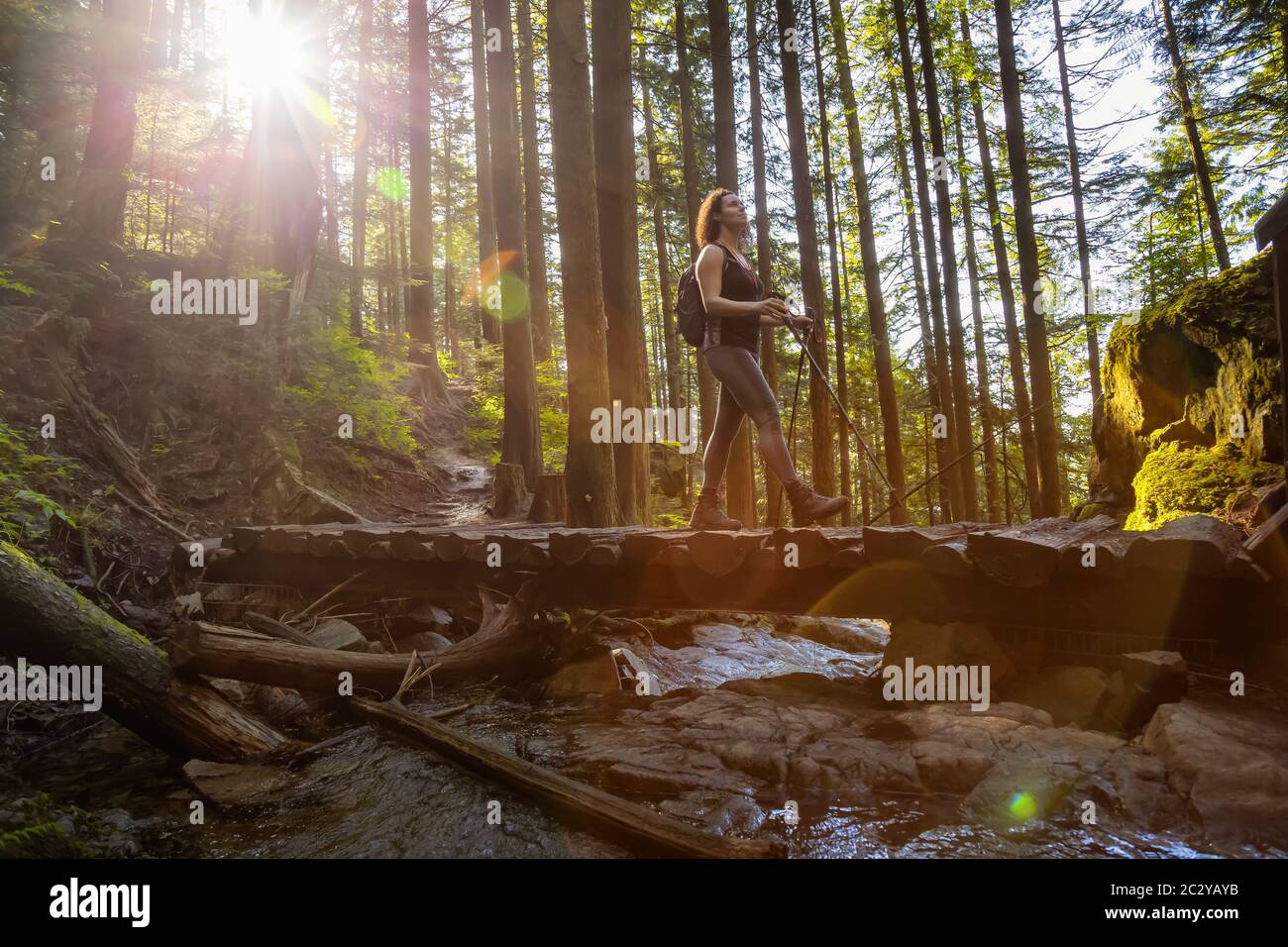 Adventurous Girl Hiking in a Green and Vibrant Rain Forest Stock Photo ...
