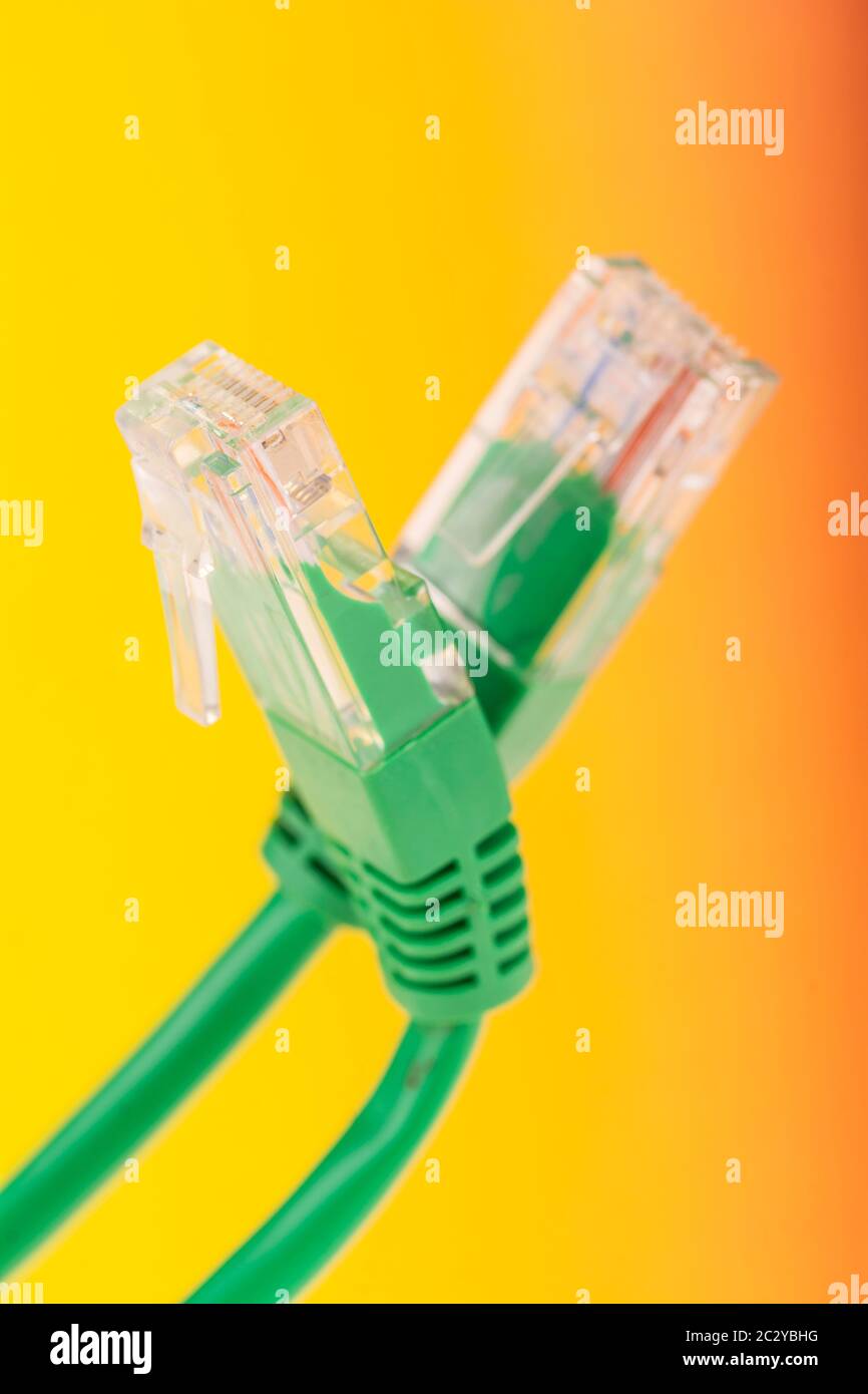 connection - a lan cable in closeup Stock Photo