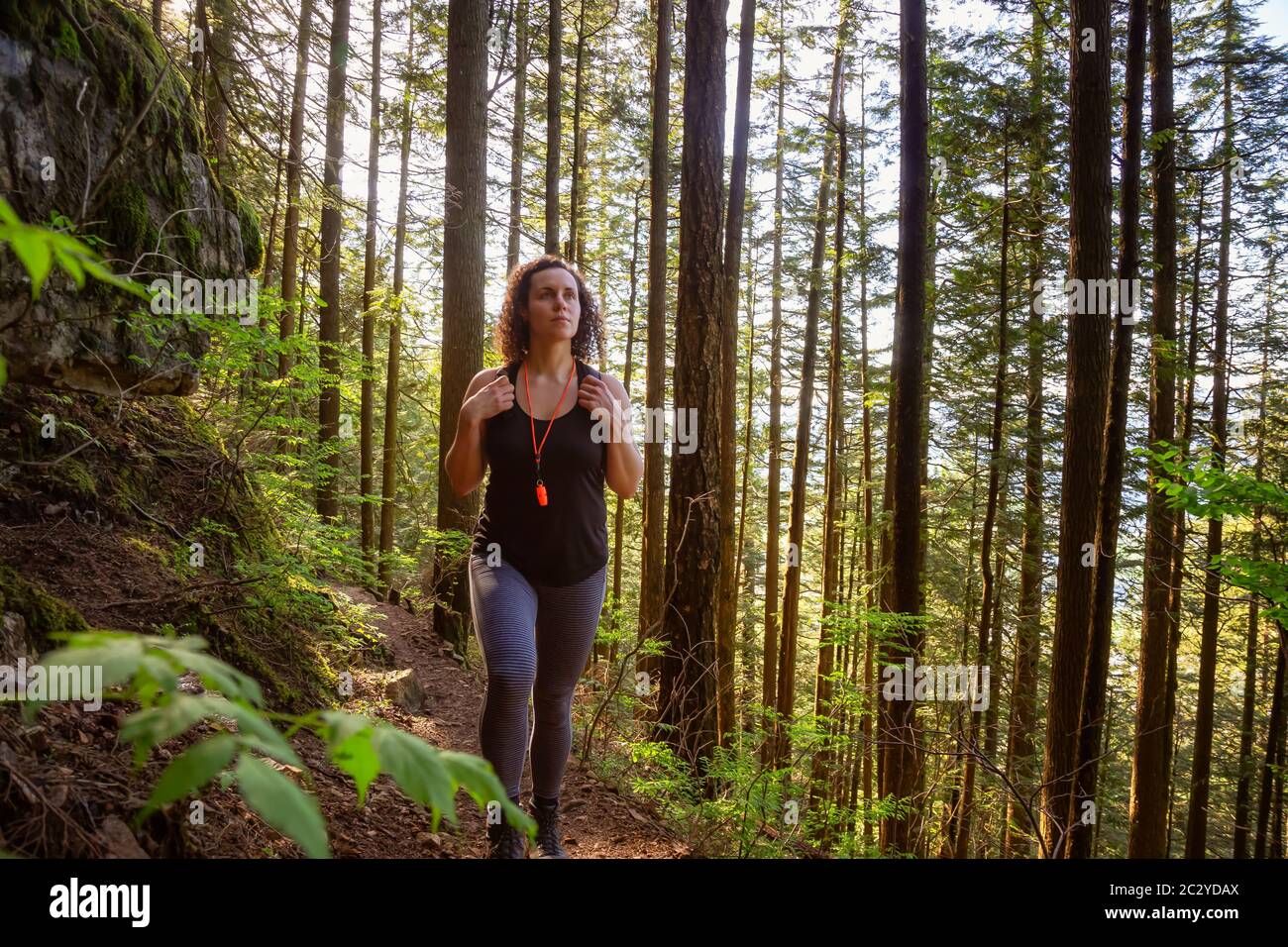 Adventurous Girl Hiking in a Green and Vibrant Rain Forest Stock Photo ...