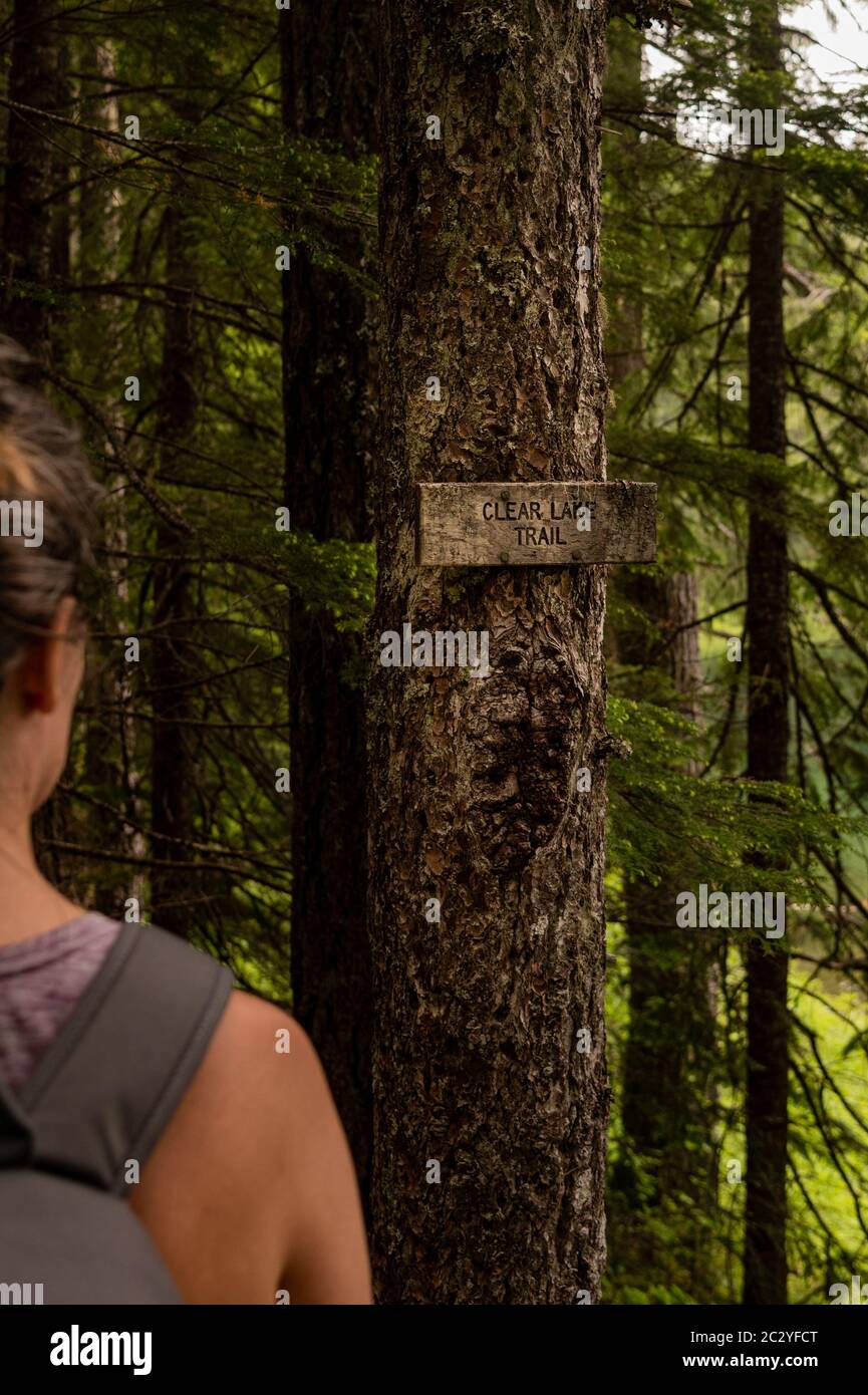 a female hiker looking at an old weathered trail marker indicating the Clear Lake Trail Stock Photo