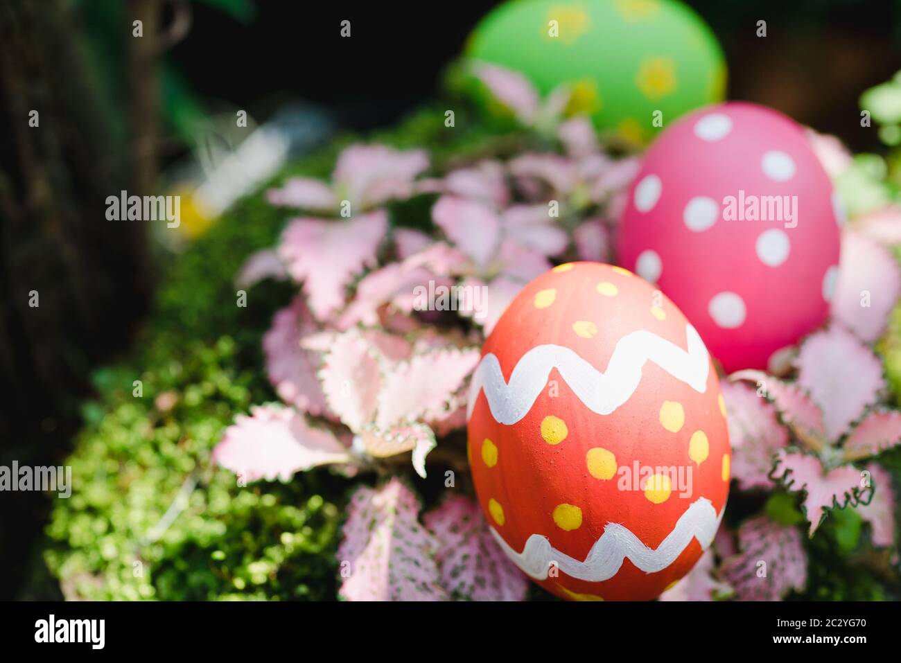 Beautiful Easter Multi color egg on garden, Easter day concept Stock Photo