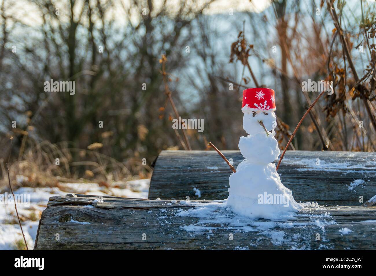 A small snowman seen on the Cozla mountain, Piatra Neamt, Romania Stock Photo