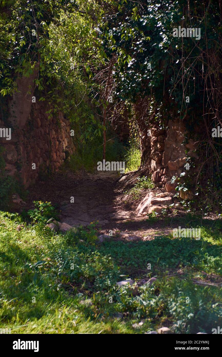 Path Between The Rocks Vegetation between the rocks hi-res stock photography and images - Alamy