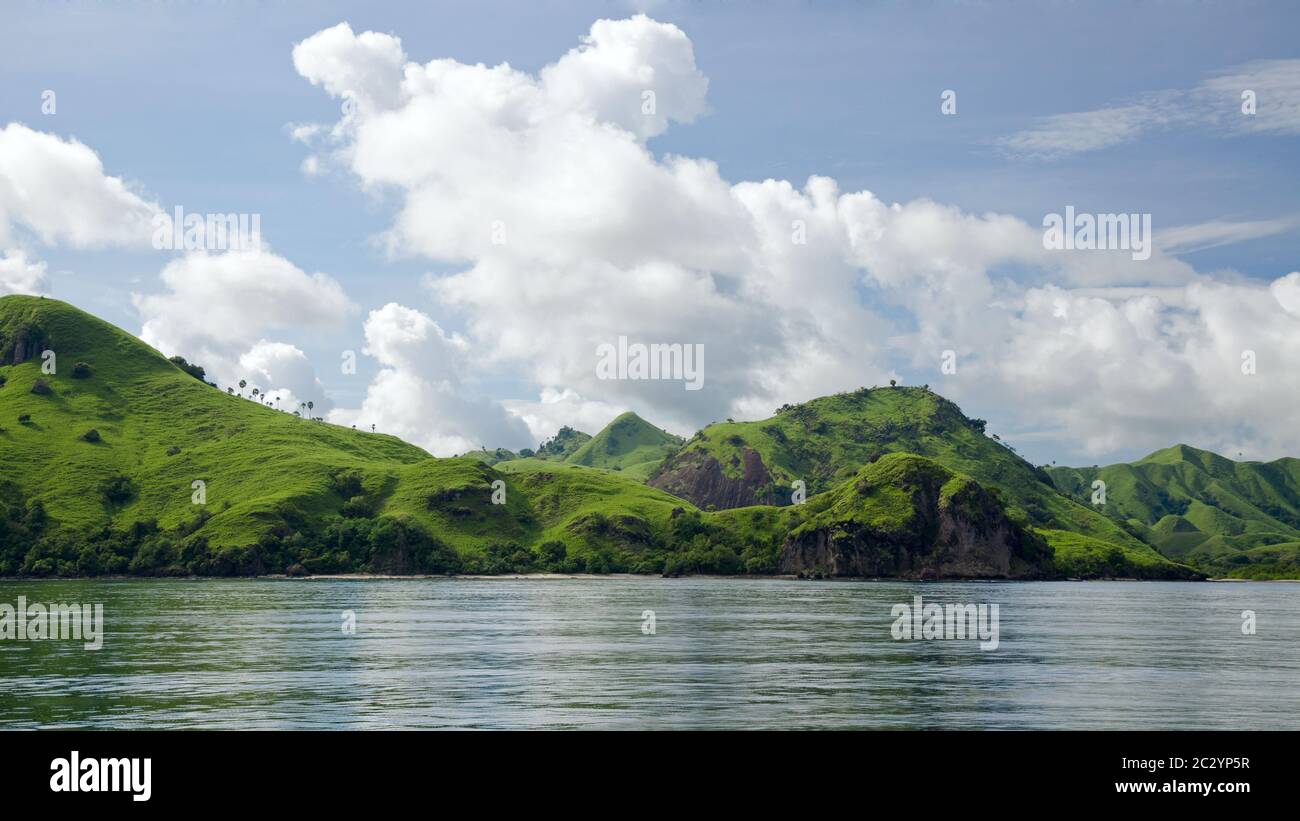 Lesser sunda islands jungle hi-res stock photography and images - Alamy