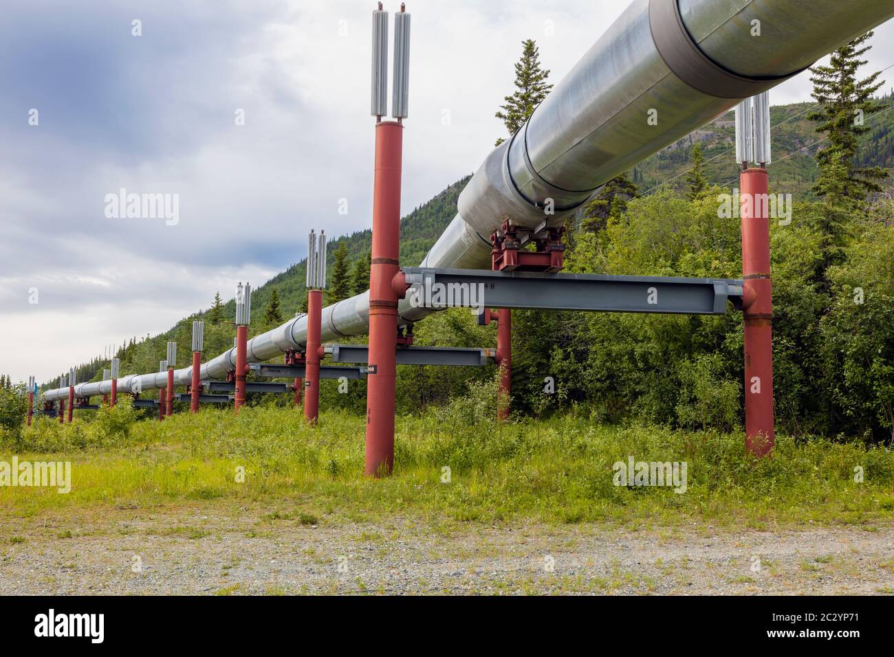 Alyeska Pipeline passing through landscape, Glennallen, Alaska, USA Stock Photo