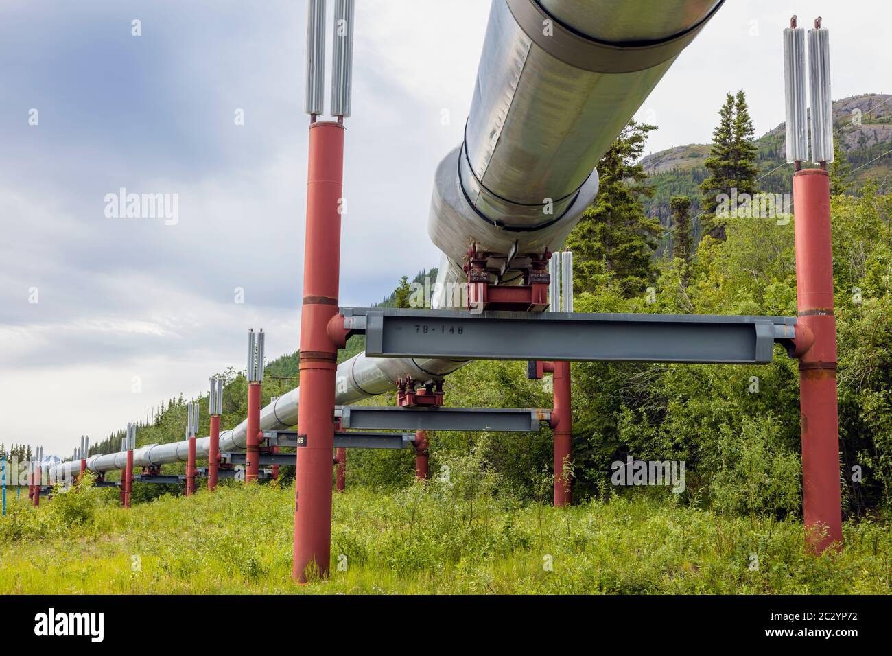 Alyeska Pipeline passing through landscape, Glennallen, Alaska, USA Stock Photo