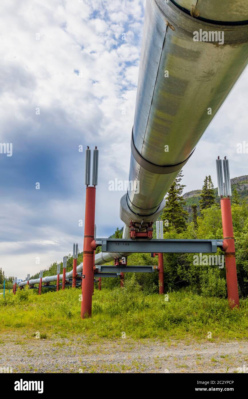 Alyeska Pipeline passing through landscape, Glennallen, Alaska, USA Stock Photo