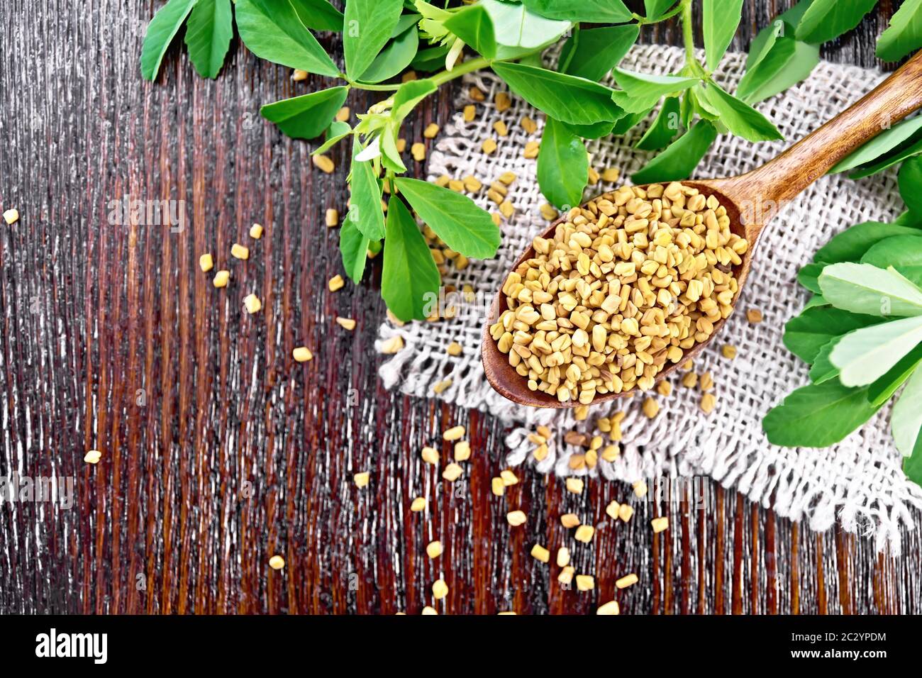 Fenugreek seeds in a spoon on a burlap napkin with green leaves on wooden board background from above Stock Photo