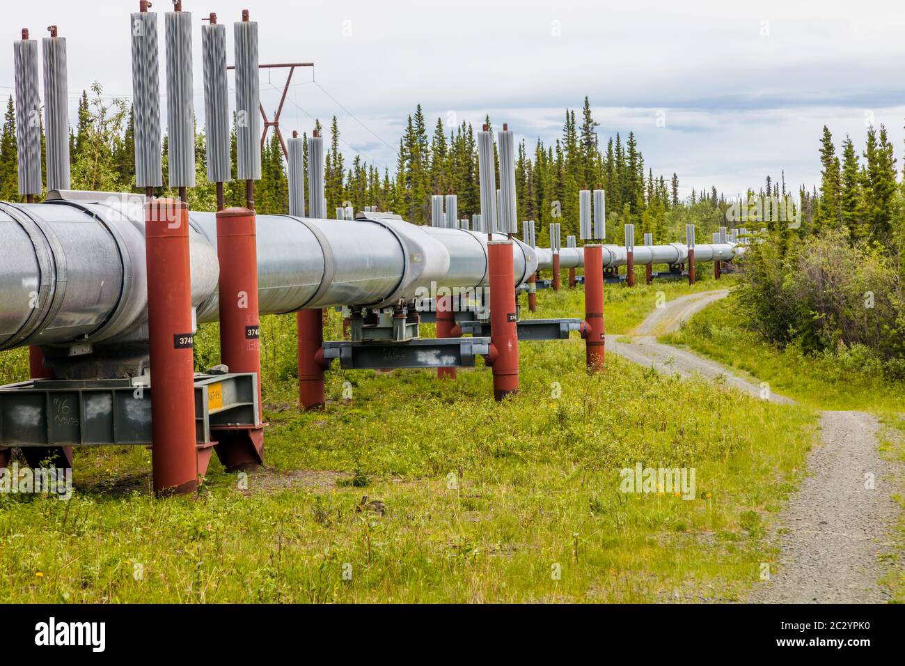 Alyeska Pipeline going through landscape, Glennallen, Alaska, USA Stock Photo